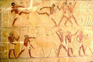 Escenas pintadas de la mastaba de Ti