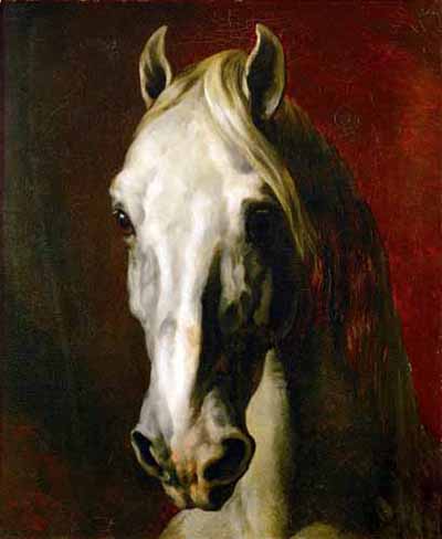 Cabeza de caballo blanco