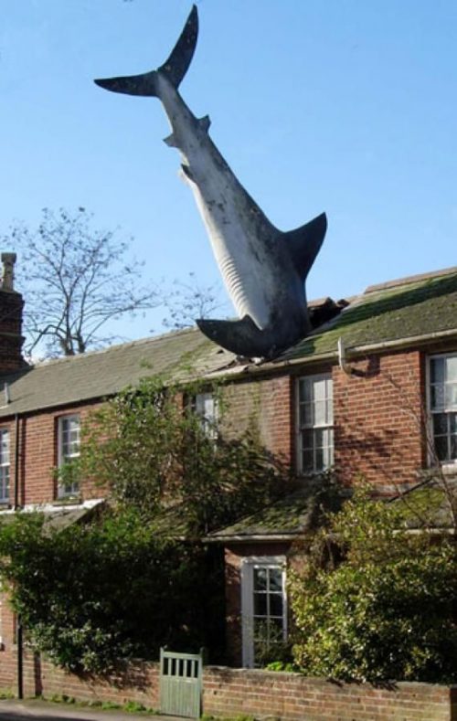 The Headington Shark de John Buckley La guía de Historia del Arte